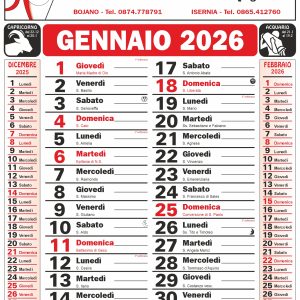 Calendari olandesi personalizzati con stampa diretta su testata